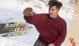 尼尔森爆料杨洋视频播放,尼尔森揭露杨洋视频播放背后真相